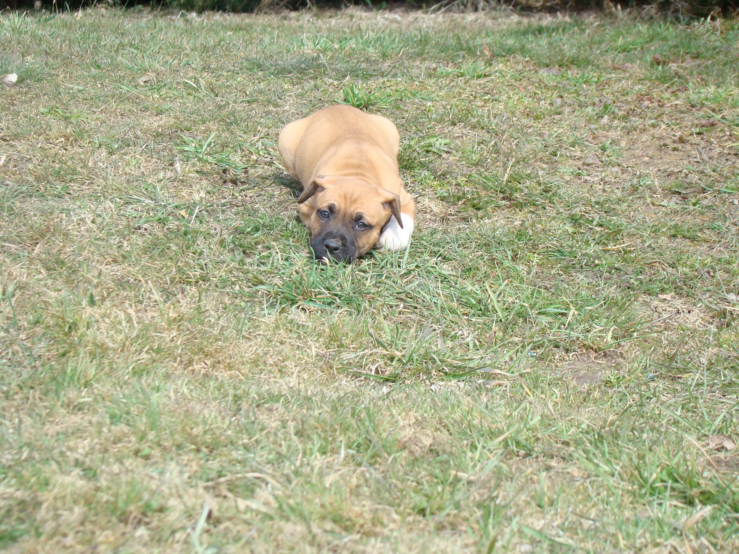 DSC00830.JPG