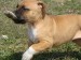 DSC00832.JPG